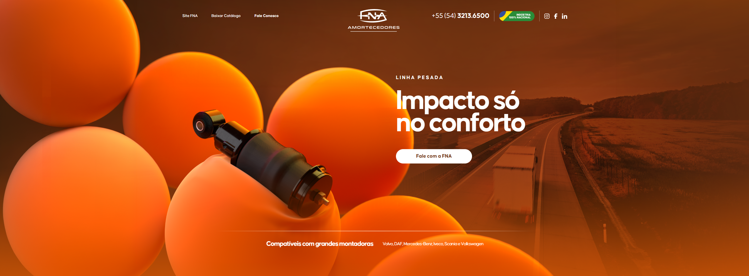 Site desenvolvido para FNA